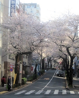 南大塚 .jpg