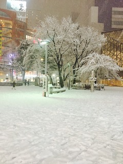 雪、池袋.jpg