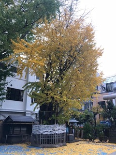 IMG_0405.jpg