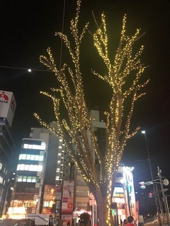 IMG_0743.jpg