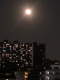 IMG_0855.jpg